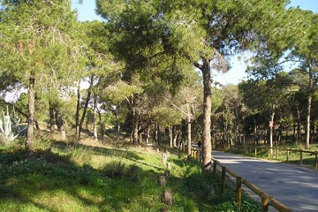 Guardamar del Segura - Van Dam Estates