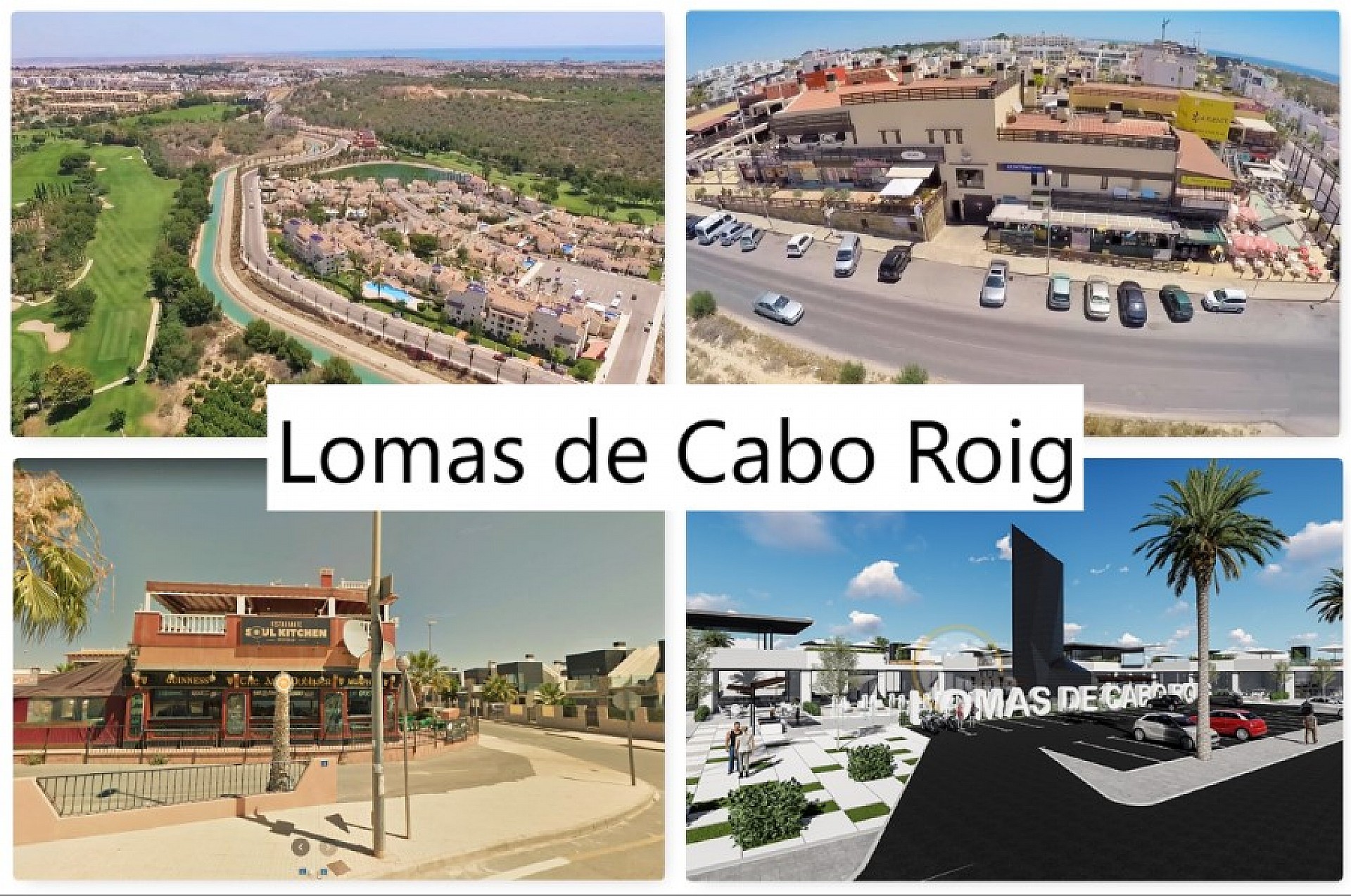 Lucky lion lomas de cabo roig