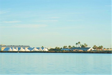 San Pedro del Pinatar - Van Dam Estates