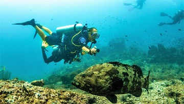 Buceo en las costas para principiantes y avanzados - Van Dam Estates