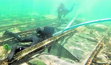 Buceo en las costas para principiantes y avanzados - Van Dam Estates