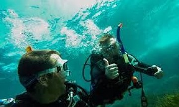 Buceo en las costas para principiantes y avanzados - Van Dam Estates