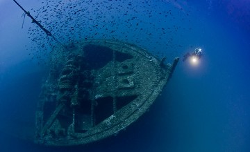 Buceo en las costas para principiantes y avanzados - Van Dam Estates