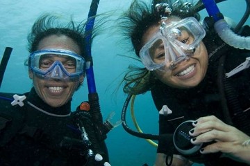 Buceo en las costas para principiantes y avanzados - Van Dam Estates