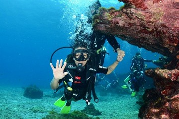 Diving on the costas for beginners and advanced - Van Dam Estates