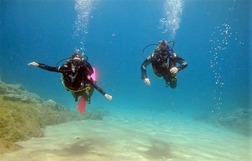 Buceo en las costas para principiantes y avanzados - Van Dam Estates