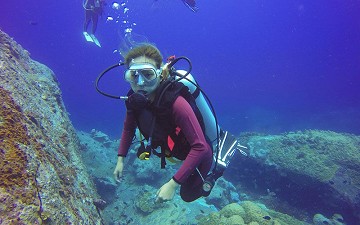 Diving on the costas for beginners and advanced - Van Dam Estates