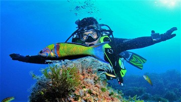 Diving on the costas for beginners and advanced - Van Dam Estates