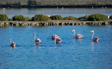 Wander- und Radwege in und um Santa Pola - Van Dam Estates