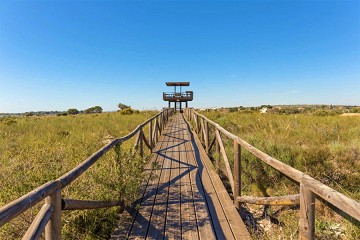 Walking and cycling routes in and around Santa Pola - Van Dam Estates