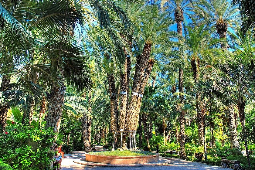 Elche's tuin geïnspireerd door de imperial palm - Van Dam Estates