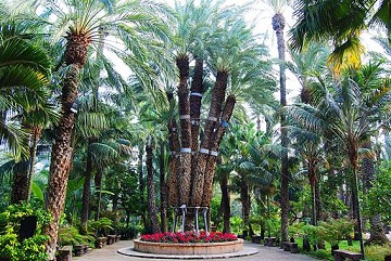 Elche's tuin geïnspireerd door de imperial palm - Van Dam Estates