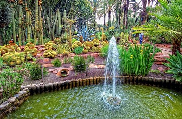 Elche's garden inspired by the imperial palm - Van Dam Estates