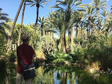 Elche's garden inspired by the imperial palm - Van Dam Estates