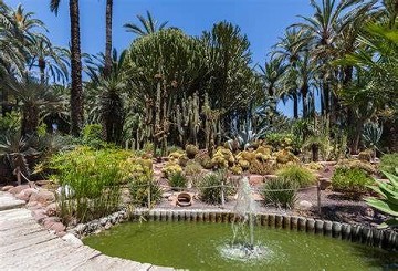 Elche's tuin geïnspireerd door de imperial palm - Van Dam Estates