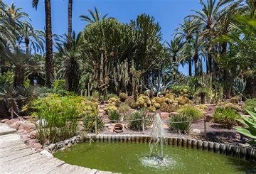 Elche's garden inspired by the imperial palm - Van Dam Estates