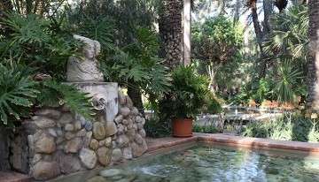 Elche's garden inspired by the imperial palm - Van Dam Estates