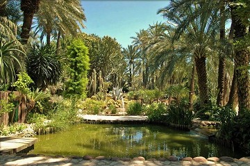 El jardín de Elche inspirado en la palmera imperial - Van Dam Estates