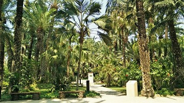 Elches Garten inspiriert von der Kaiserpalme - Van Dam Estates