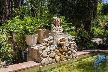 Elche's garden inspired by the imperial palm - Van Dam Estates