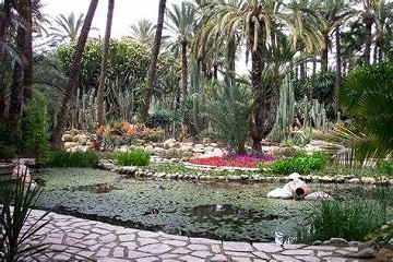 Elche's tuin geïnspireerd door de imperial palm - Van Dam Estates