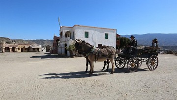 Hollywood en el desierto cerca de Almería - Van Dam Estates