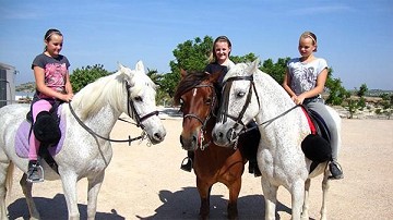 Lo Rufete Avonturenpark voor het hele gezin - Van Dam Estates