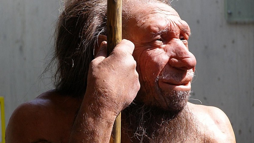 The Neanderthals of Torre-Pacheco - Van Dam Estates
