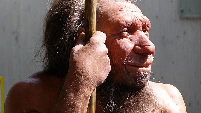 Los neandertales de Torre-Pacheco - Van Dam Estates