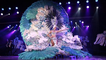 Spectacle shows in Benidorm Palace - Van Dam Estates