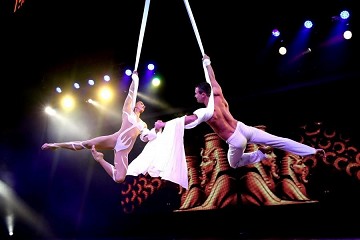 Spectacle shows in Benidorm Palace - Van Dam Estates