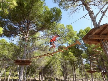 Von Baumkrone zu Baumkrone in La Nucia Benidorm - Van Dam Estates