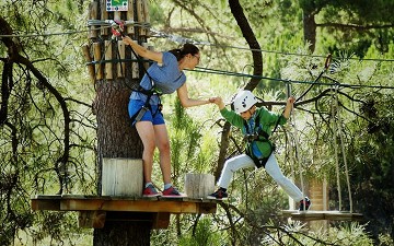 Van boomtop naar boomtop in La Nucia Benidorm - Van Dam Estates