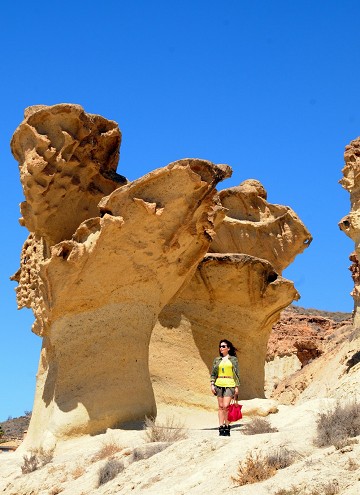 Giant mushrooms or an umbrella? - Van Dam Estates