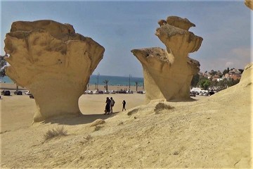 Giant mushrooms or an umbrella? - Van Dam Estates