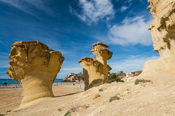 Giant mushrooms or an umbrella? - Van Dam Estates