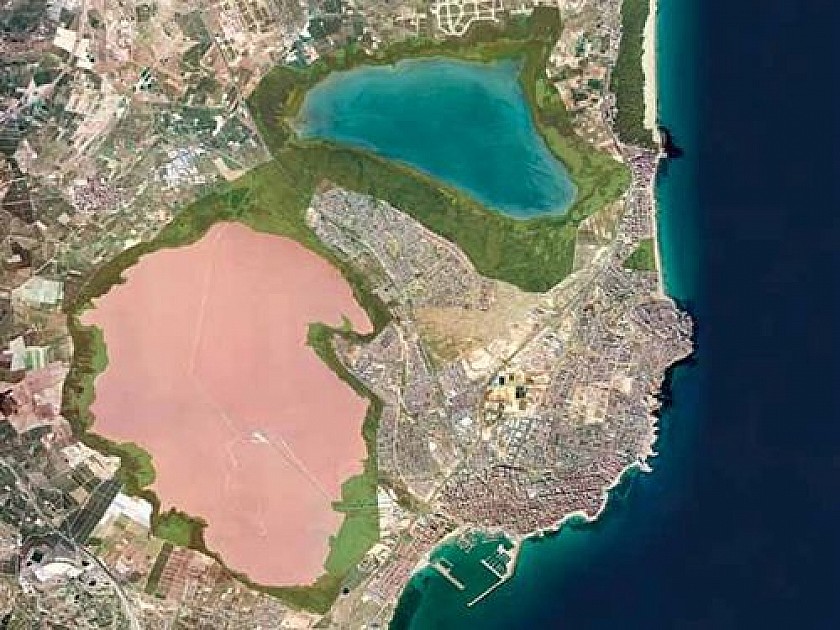 Torrevieja's salt lakes worth cherishing - Van Dam Estates