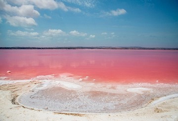 Die Salzseen von Torrevieja, die es wert sind, geschätzt zu werden - Van Dam Estates