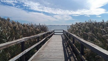 Cinco caras de Los Alcázares - Van Dam Estates