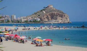 Focus on Aguilas - Van Dam Estates
