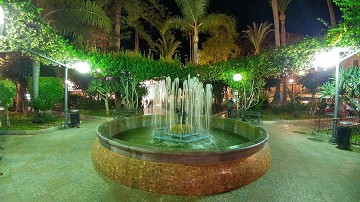 Focus on Aguilas - Van Dam Estates