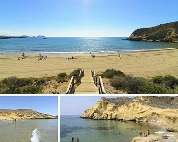Focus on Aguilas - Van Dam Estates
