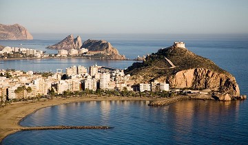 Focus on Aguilas - Van Dam Estates