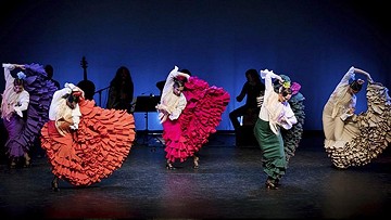 Three weeks of cultural explosion in San Javier - Van Dam Estates