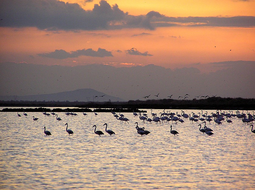 Salz und Natur im Gleichgewicht in Santa Pola - Van Dam Estates