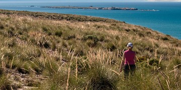 Salz und Natur im Gleichgewicht in Santa Pola - Van Dam Estates