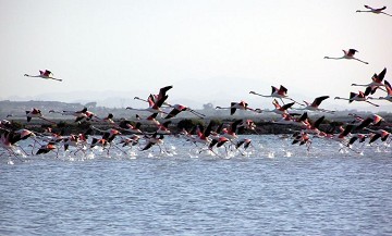 Salz und Natur im Gleichgewicht in Santa Pola - Van Dam Estates
