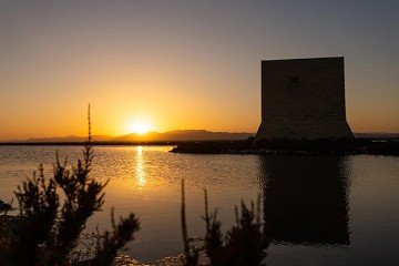 Salz und Natur im Gleichgewicht in Santa Pola - Van Dam Estates