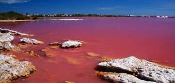 Salz und Natur im Gleichgewicht in Santa Pola - Van Dam Estates