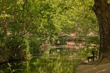 Mother Murcia's magical moments (1) - Van Dam Estates